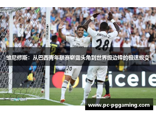 维尼修斯：从巴西青年联赛崭露头角到世界级边锋的极速蜕变